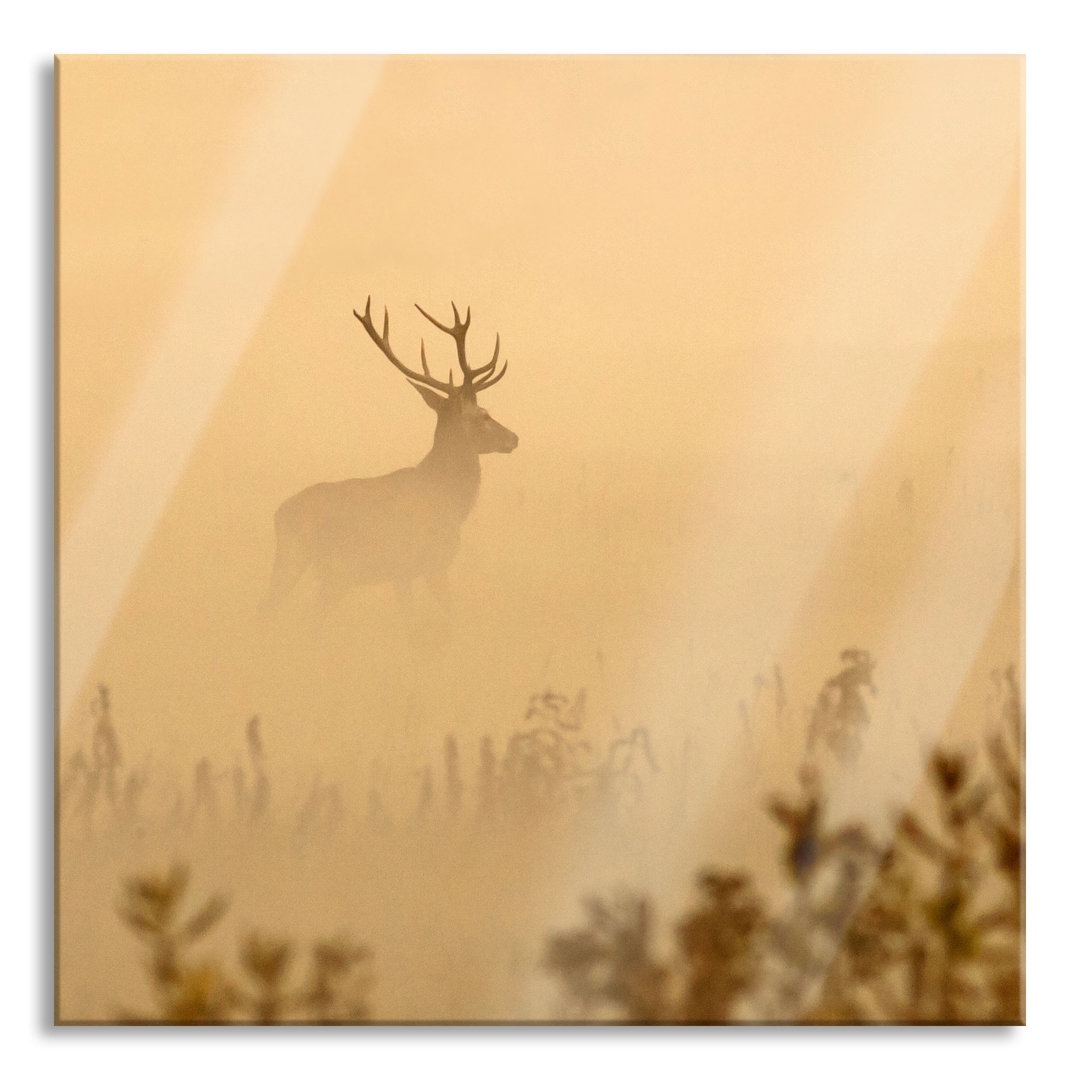 Glasbild Hirsch im Nebel