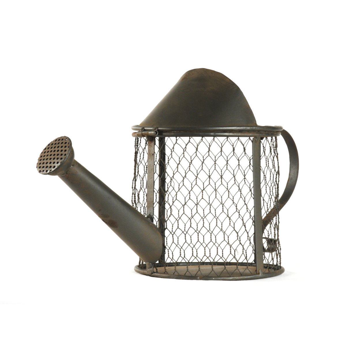 Zentique Watering Can