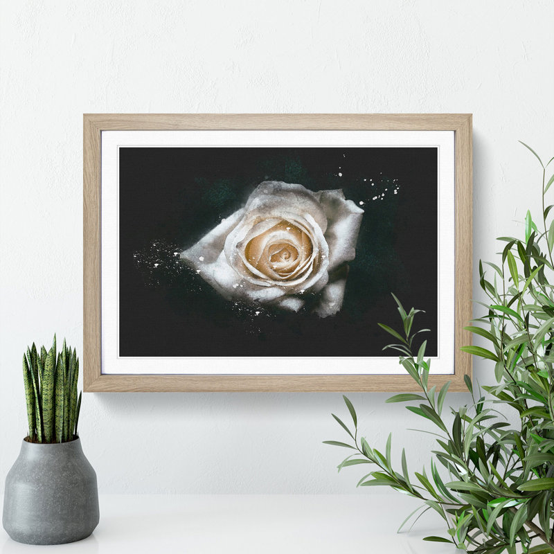 A White Rose - Picture Frame Graphic Art Print, 33cm H x 45cm W x 2cm D, Oak Framed