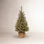 Sapin floqué avec lumières DEL-88089314