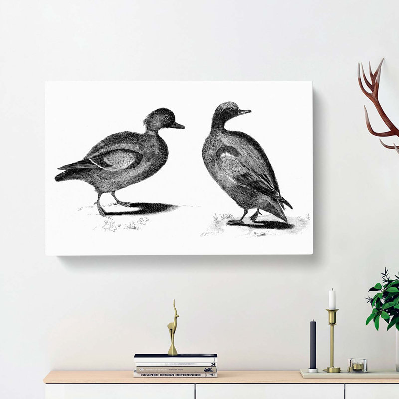 Two Ducks In Black & White by Johan Teyler - Wrapped Canvas Print, 50cm H x 76cm W x 3cm D