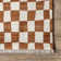 Dominique Abstract Checkered Fringe Area Rug