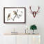 Tail Tit Birds by Johan Teyler - Picture Frame Graphic Art Print-55729692-55729691