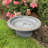 Birds and Beyond 19"D x 7.5"H Dove Gray Fiber Clay Birdbath Baretta Collection