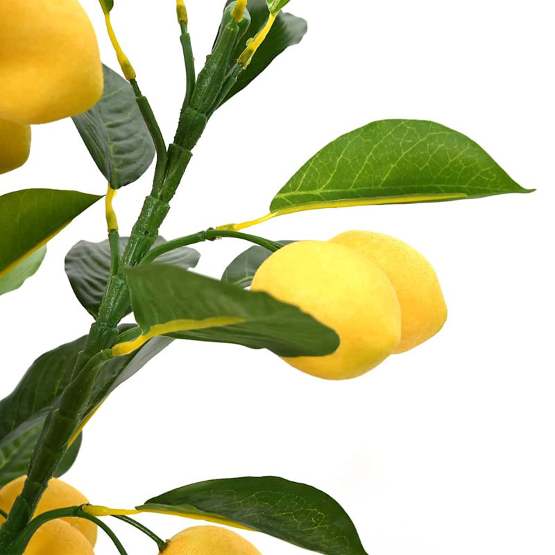 120cm Plant