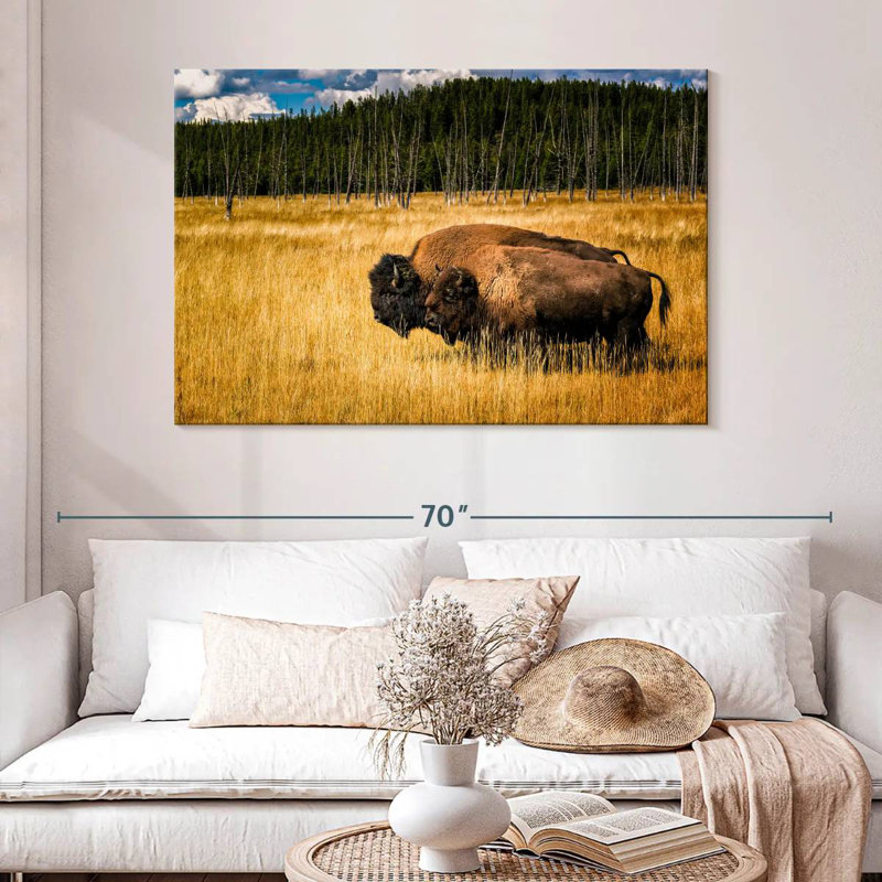 Brampt Bison In Summer, 32" H x 48" W
