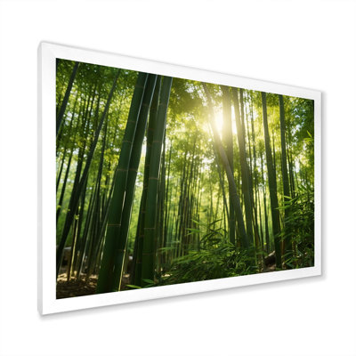 «Dynamic Light Bamboo Grove II» sur toile