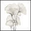 «Ginkgo Biloba Leaves», reproduction d'art graphique à cadre flottant-27883385-29004360
