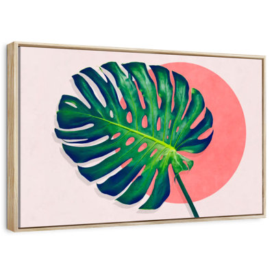 Monstera Paradise