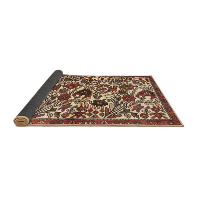 Indoor Rug
