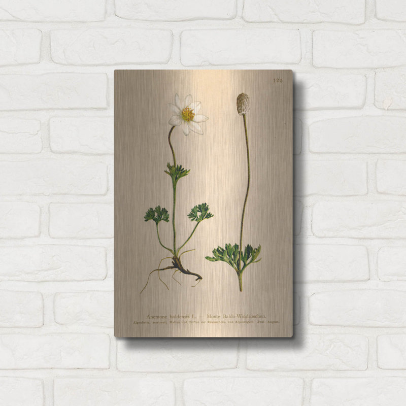 Art mural en métal luxueux «Anemone Baldensis» par Art Licensing Studio, 12 po x 16 po