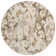 Altair Machine Washable Floral Area Rug