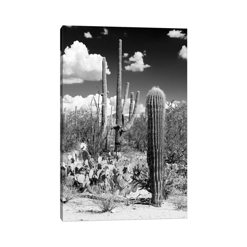 Série noire Arizona - désert de cactus-PHD1472, H 40 po x l 26 po x P 1,5 po