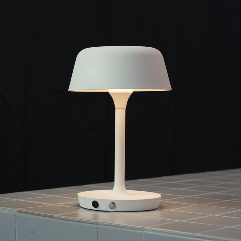 Metal Novelty Lamp