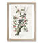 Downy Woodpeckers by John Audubon - Picture Frame Painting Print-55545557-55545559