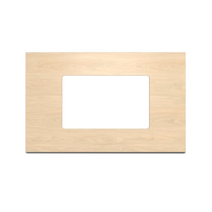 TV Panel
