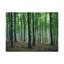No Frame Print on Canvas