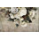 Papier peint amovible fleur de pivoine foncé foncé Bouqet
