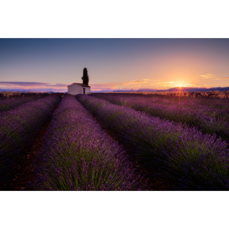 Wrapped Canvas Print, 50.8 cm H x 76.2 cm W