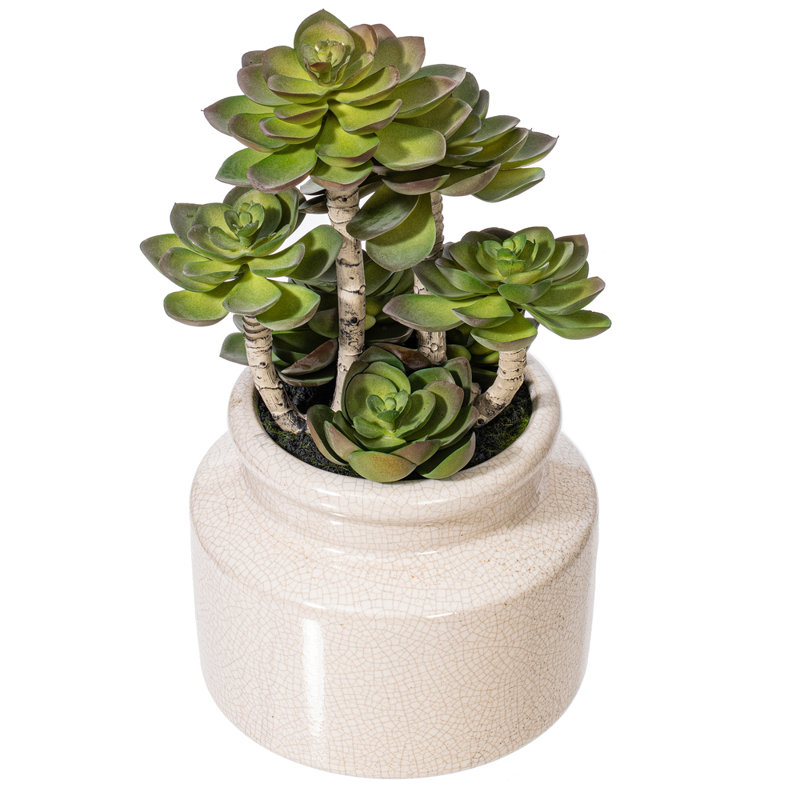 11'' Faux Succulent in Ceramic Pot