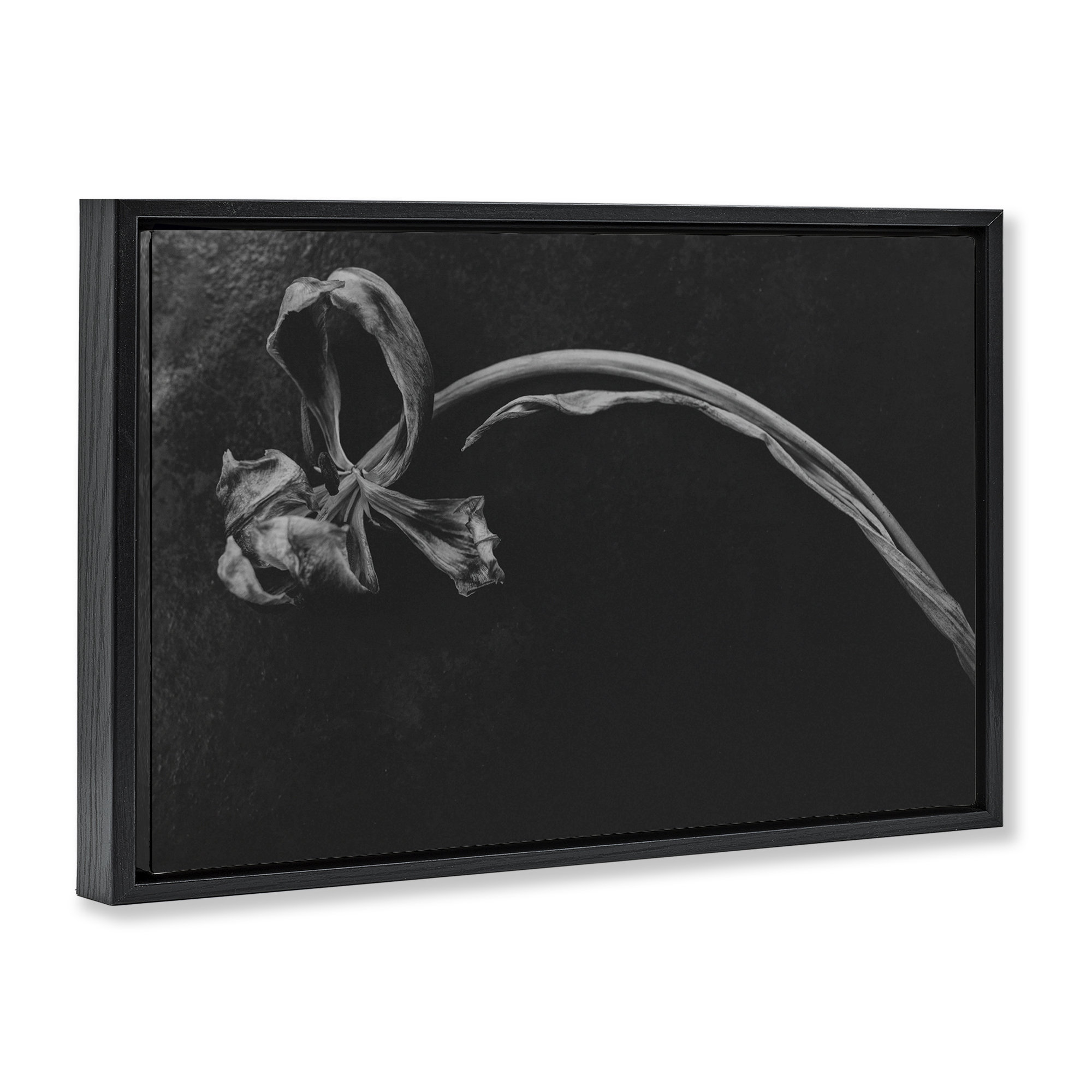 Latitude Run® Soft Collapse Flower Floating Frame, design by Amy ...
