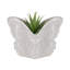 Sagebrook Home 7" Butterfly Planter, Ivory-1599911533