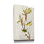 « Pl 38 Kentucky Warbler », reproduction d’art sur toile-1497220920