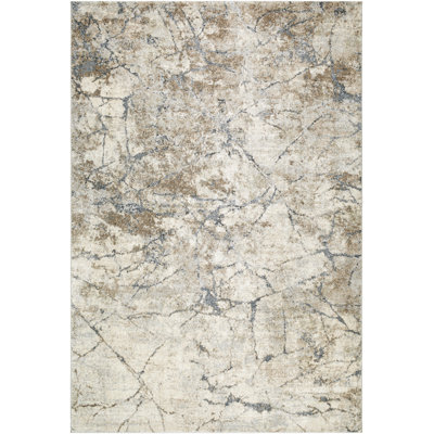 Puccio Abstract Indoor Rug
