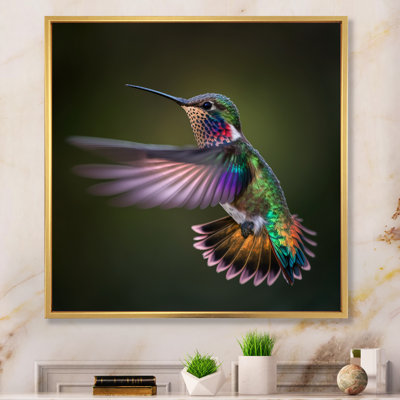" Purple Colibri Hovering Nature "