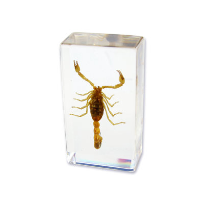 Privette Animals Figurines & Sculptures