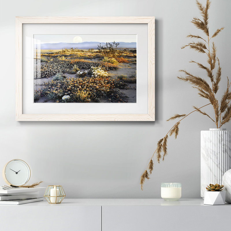 Anza Borrego Desert, reproduction d'art encadrée, H 26 po x l 38 po x P 1,5 po, Blanc