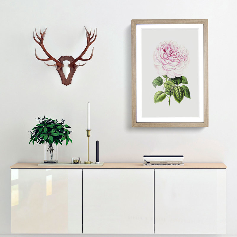 Illustration of a Pink Rose - Framed Print, 36cm H x 27cm W x 2cm D, Oak Framed
