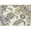 Cream Traditional 6X6 Indo-Nain Oriental Round Rug