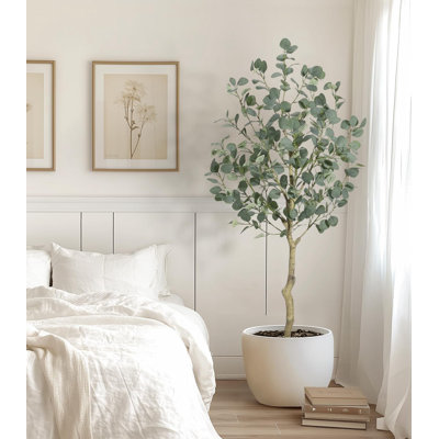 Eucalyptus Tree Artificial With Silver Dollar Leaves
