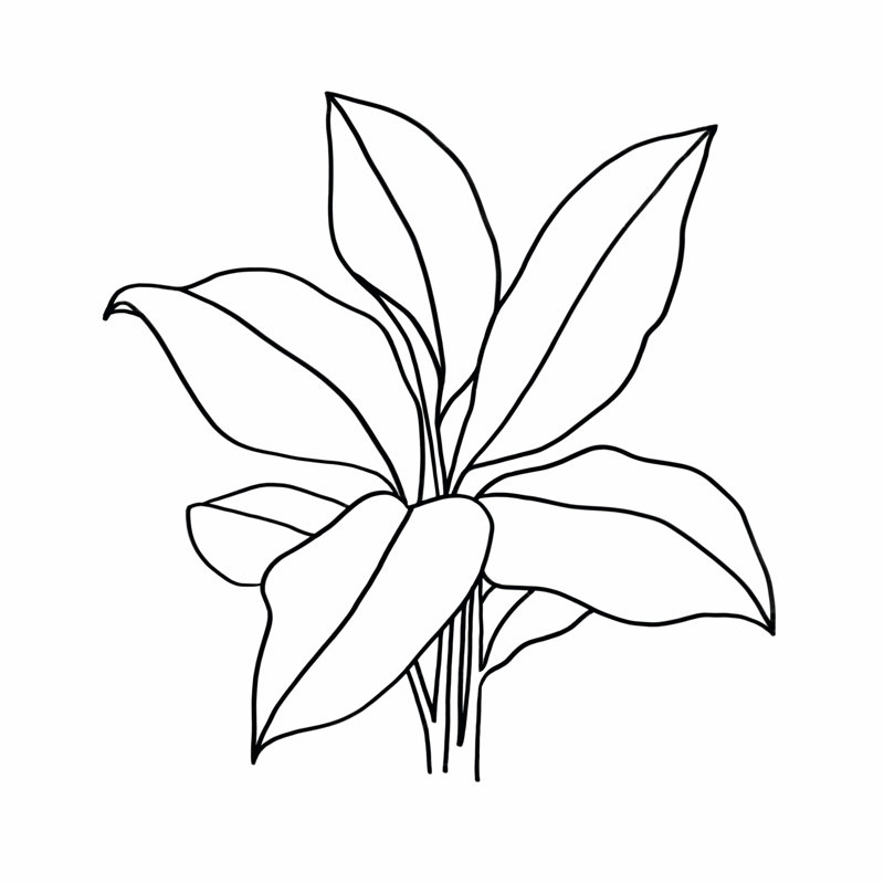 Foliage Contour II, H 12 po x l 12 po