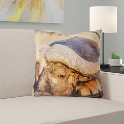 Coussin de mammifère