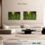 Alvord Lush-107696848