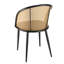 Ryne Dining Chair in Brown