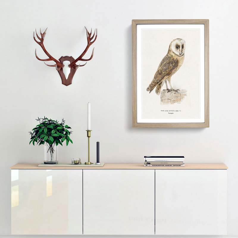 Perched Owl by Von Wright - Picture Frame Painting Print, 36cm H x 27cm W x 2cm D, Oak Framed