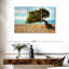 Arbre Gillard Divi-Divi à Aruba-107981609