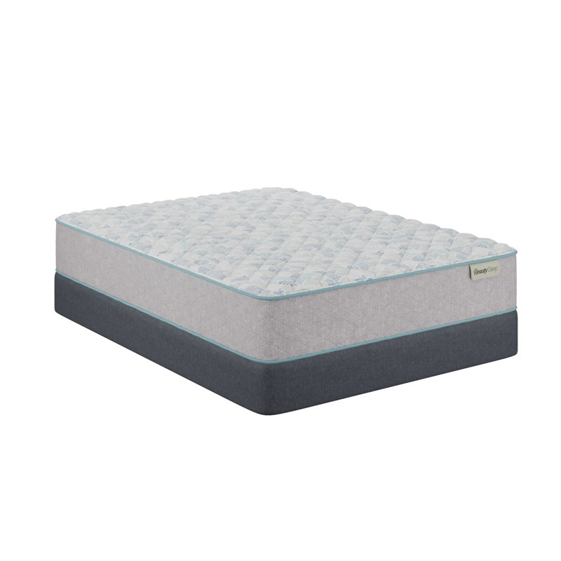 BeautySleep Slumberscape 12.5" Firm Quilted Mattress Set with Standard Profile 9" Foundation, Queen, 12.5''