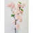 Rose est en rupture de stock