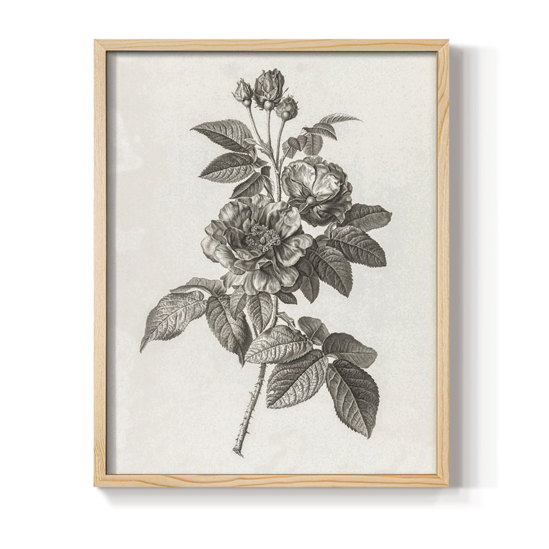 Impression florale vintage encadrée CECXVI - bois massif, Naturel, H 21 po x l 17 po