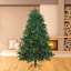 1000 LED Treebrights-1824949703-1824949758