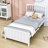 Caserta Kids Twin with Drawers-1737839751