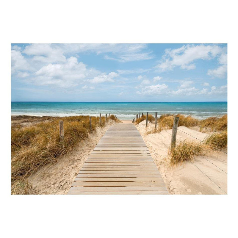 Peel & Stick Wall Mural, 135" W x 96" L