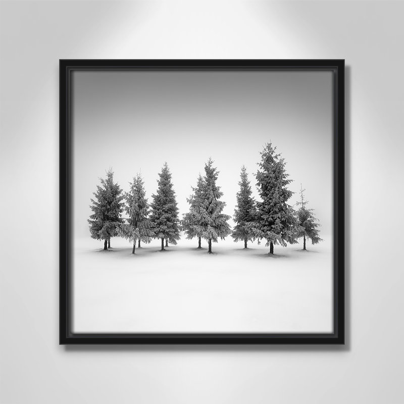 Impression d'épinette par Daniel, Toile avec cadre, L 13,5 po x H 13,5 po, Cadre flottant noir