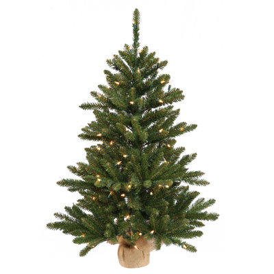 Anoka Pine 2.5' Lighted Pine Christmas Tree
