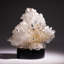 Tsumeb Mine Otavi-Bergland District Oshikoto Namibia Cerussite