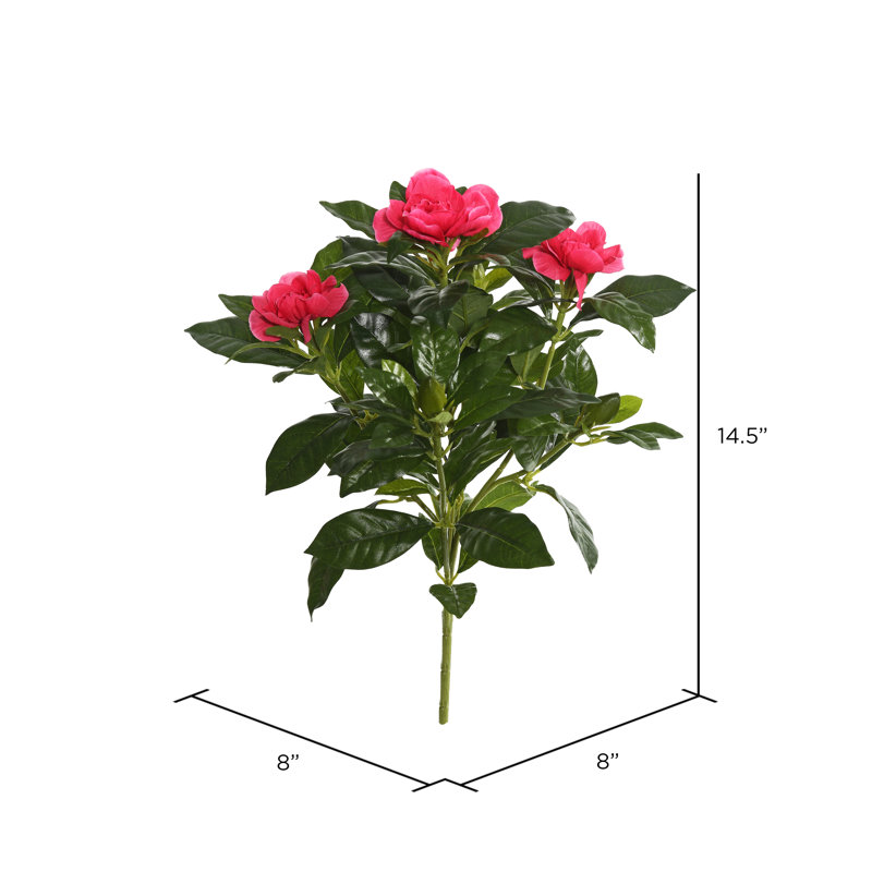 Douille de gardenia beauté